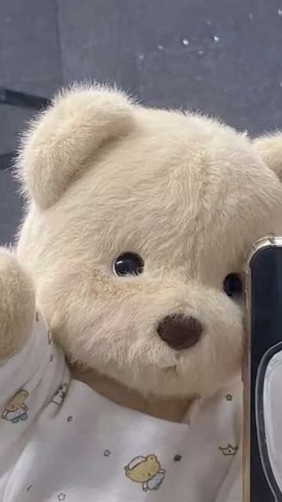 หมีพูดจีน.V1