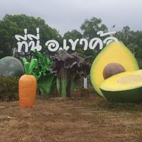 เกาะช้าง-ระยอง-พัทยา-BKK-DMK-ชะอำ-หัวหิน