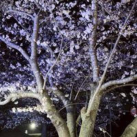 千葉県カラオケ部屋