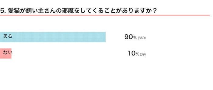 困るけど幸福感も 邪魔可愛い行動 が微笑ましすぎる