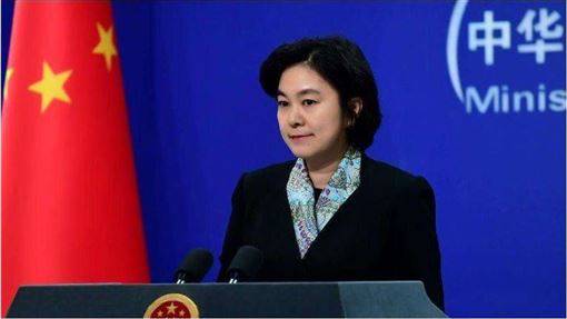 小英捐千萬片口罩 　華春瑩竟嗆4字