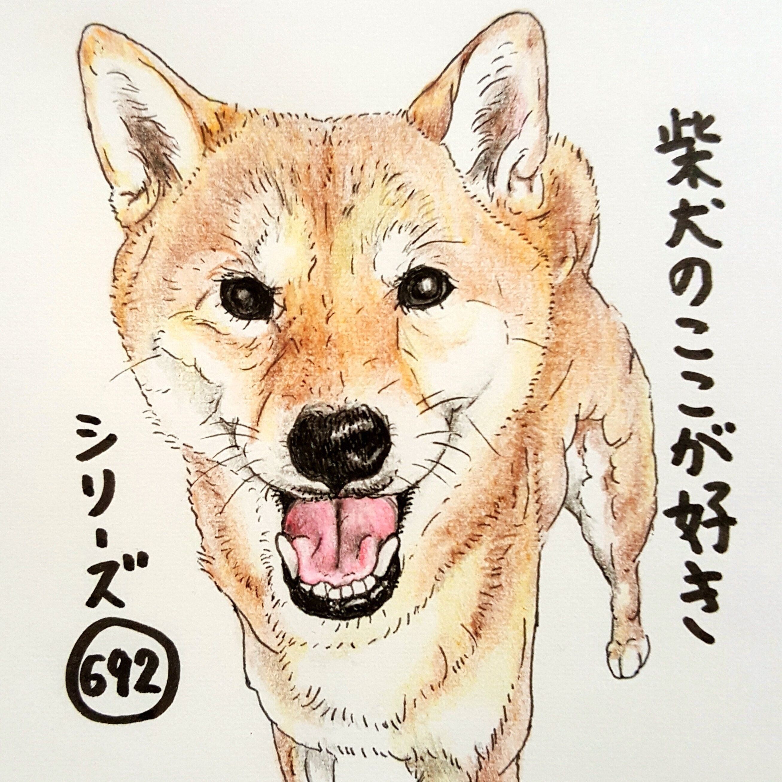 犬も気持ちいい 日向ぼっこ 健康のためにも重要だった