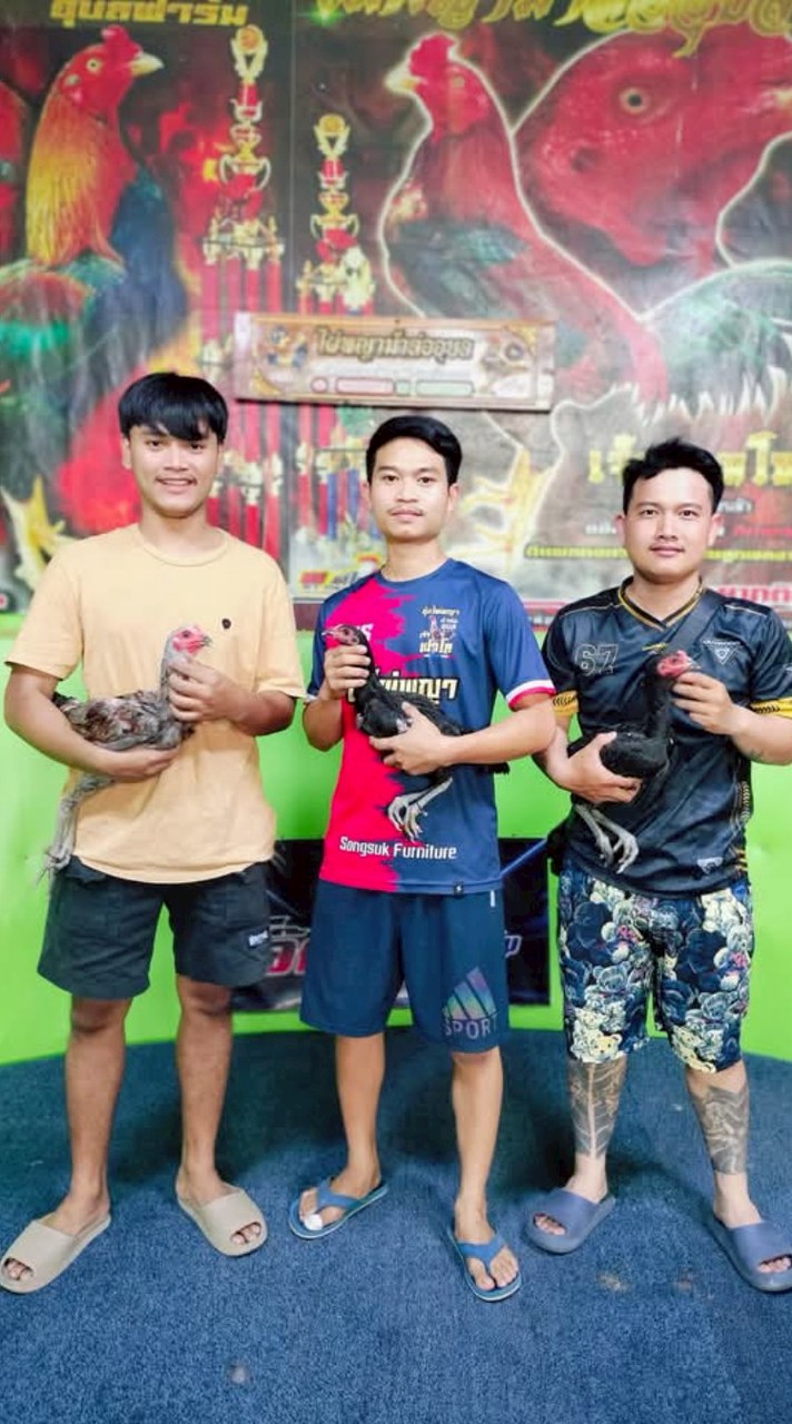 เรืองเดชฟาร์ม🐓