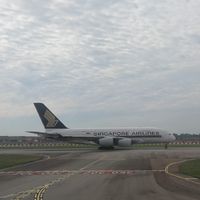 ✈️シンガポール客室乗務員志望✈️CREWNET