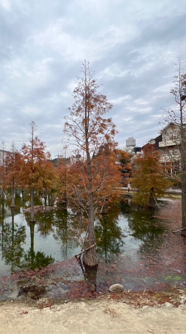 苗栗小棧30+40+50+