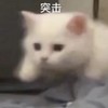 高雄滑板🛹
