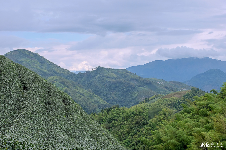 山女孩Melissa_雲嘉七連峰_獨立山_大籠頂_太平山_梨子腳山-7777.jpg