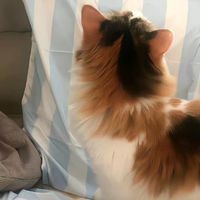 一窩動物の家/拐人/處關係:)/處小家族:)/放閃/聊心事/聊遊戲什麼都可以/男女請進喔~~