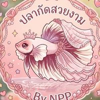 ปลากัดสวยงาม🐠