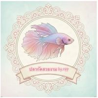 ปลากัดสวยงาม🐠