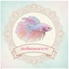 ปลากัดสวยงาม🐠