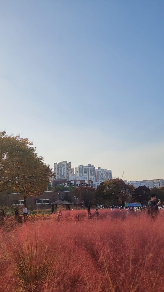 韓國🇰🇷闆娘Hee旅遊團