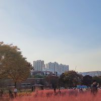 韓國🇰🇷闆娘Hee旅遊團
