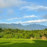坤成風-藍海策略