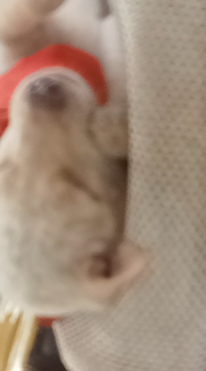 แ