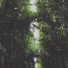 鎮守の杜本丸