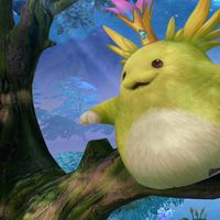 アシュテながれぼしの民