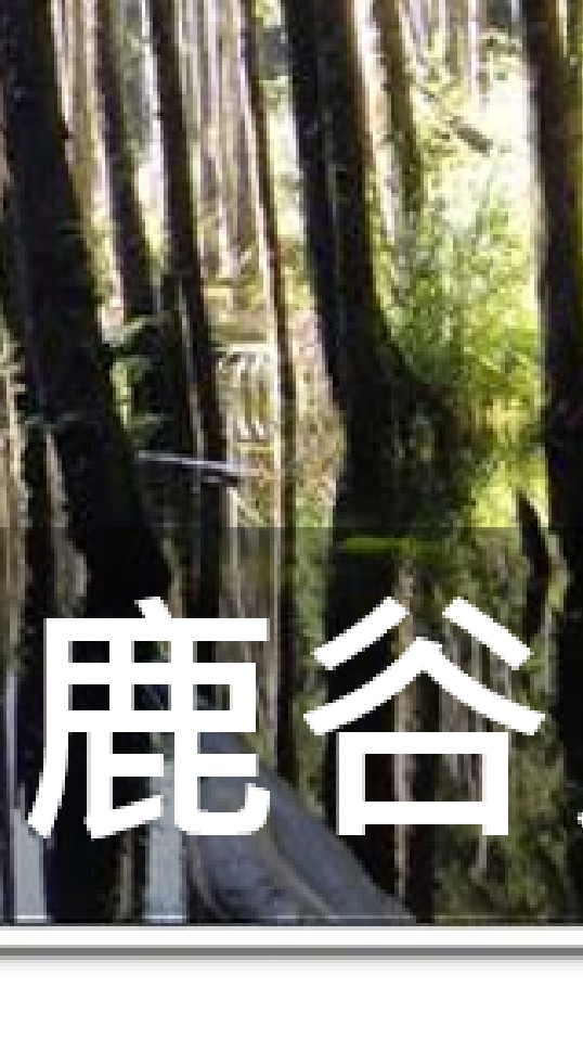 我是鹿谷人