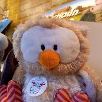 NICIの森inRainbowSPECTRUMエチカ池袋店