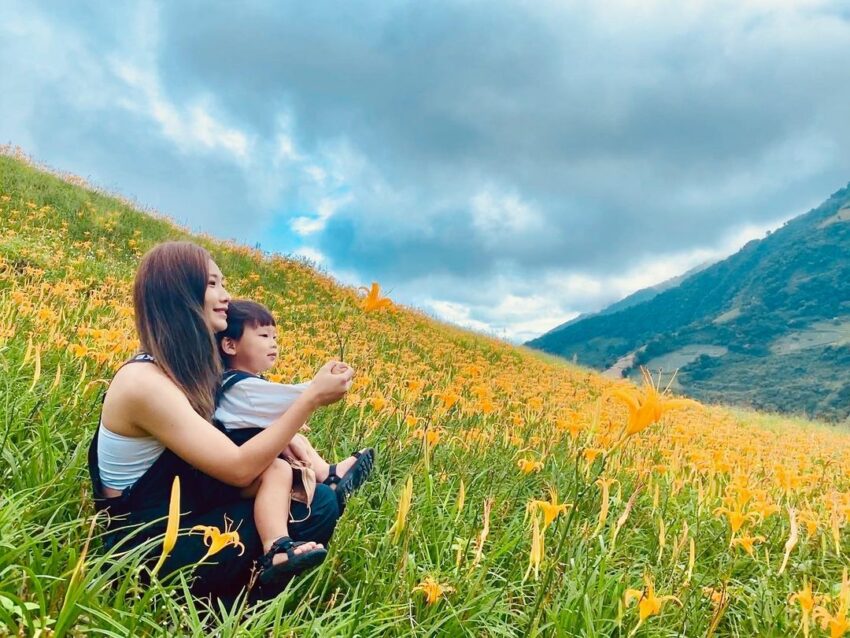 太麻里景點,金針花,吳忠憲賞花區