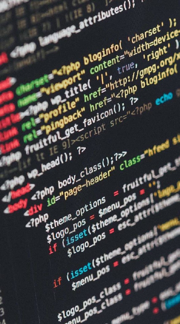 Programer