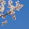 中学生おいで！勉強のモチベ上げよ！！