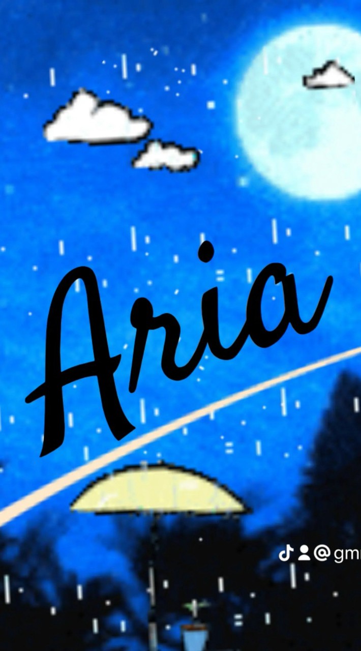 ออดิชั่นค่ายAria