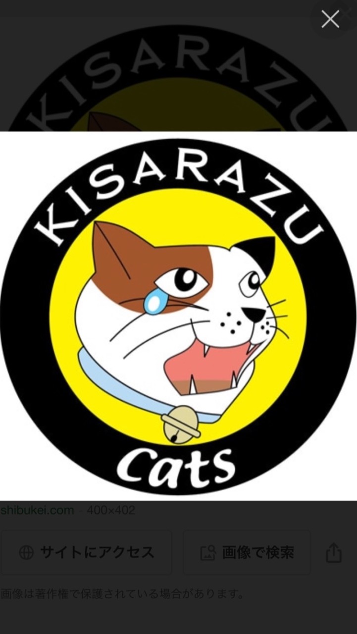 木更津キャッツアイを語ろう‼︎