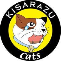 木更津キャッツアイを語ろう‼︎