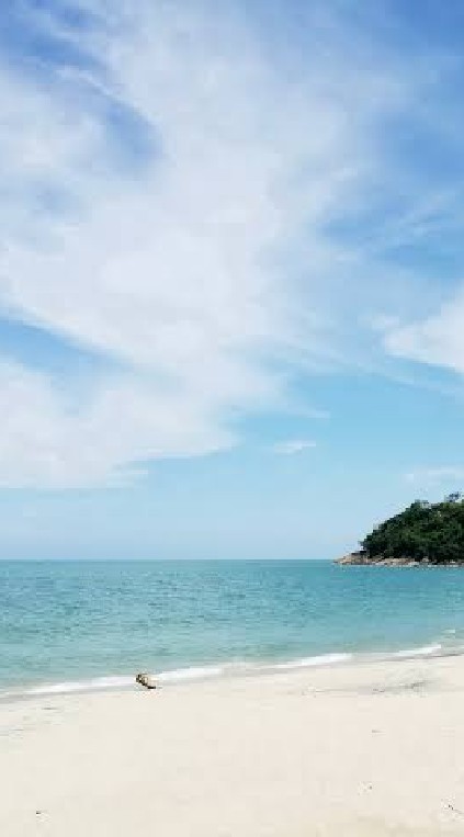 ขนอม