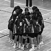 市陽明女排新生群