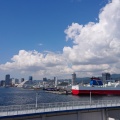 実際訪問したユーザーが直接撮影して投稿した港 / 灯台神戸港の写真