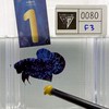 Twentyfour Betta