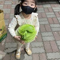 你的菜-專業蔬菜零售批發旗艦