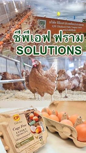 โครงการแจกพันธุ์ไก่ส่งเสริมสร้างรายได้