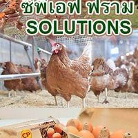 โครงการแจกพันธุ์ไก่ส่งเสริมสร้างรายได้