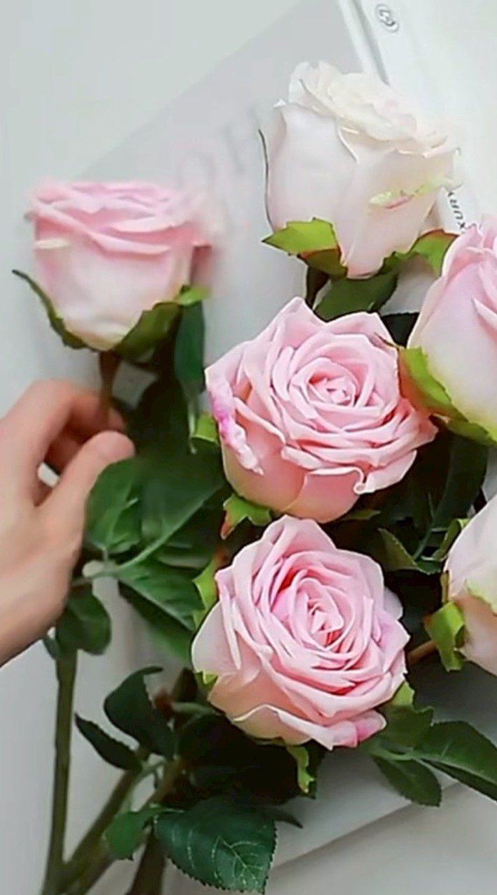 บ้านนางอย ม.4