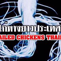 ชมรมไก่หางยาวประเทศไทย