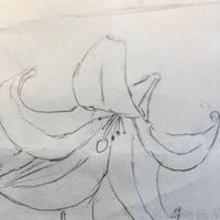 イラスト部
