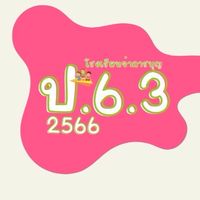 ป.6.3/2566