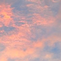 不務正業的實習生活動分享群