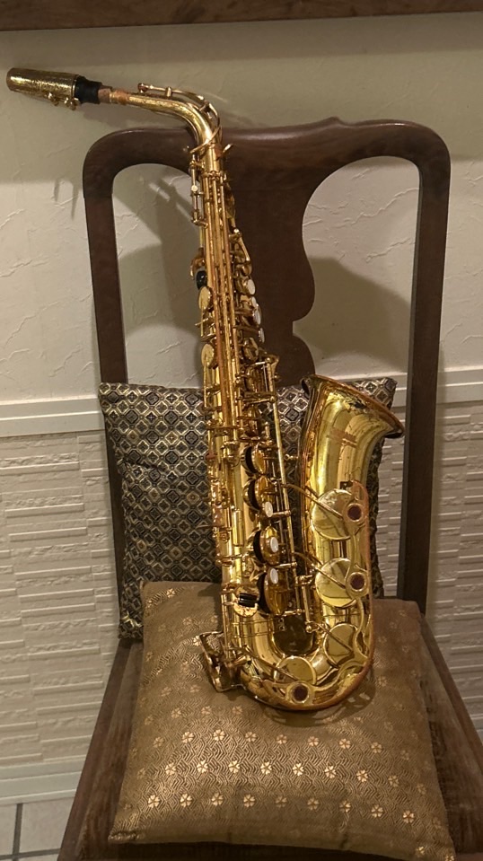 🎷吹奏楽部の中高生集まって！！🎷