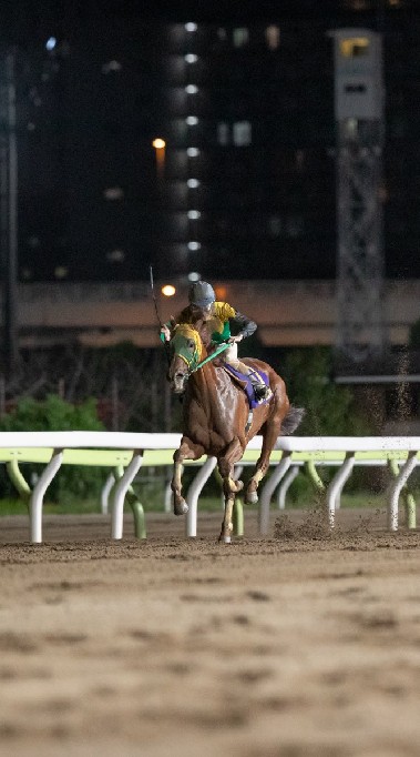 軸馬とワイドのオープンチャット