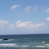 有名な人がくるオプ/おぜうの占領区