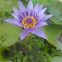靠北建商與代銷-雙北為主