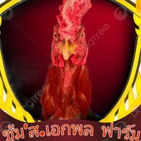 ซุ้ม'ส.เอกพล ฟาร์ม