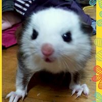 飛飛研討室