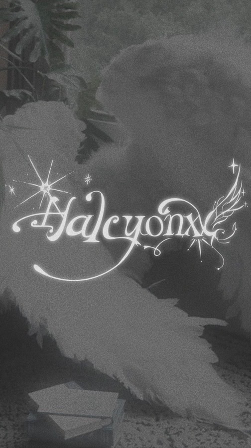 Halcyonxx 選品代購*༺♱༻*