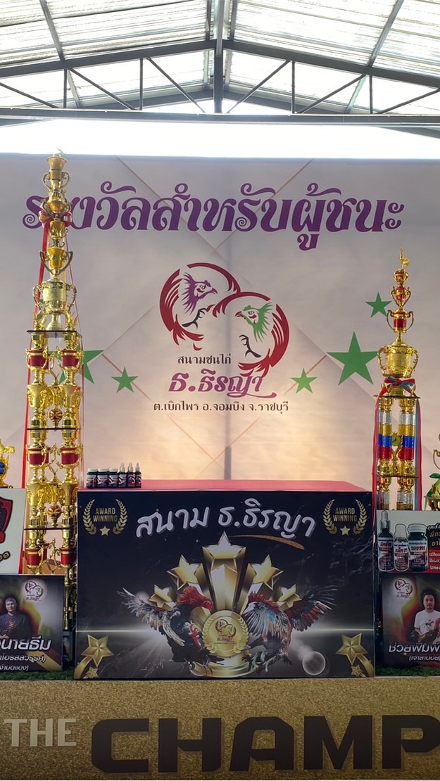 นักล่าเดิมพัน พรมชมพู หาคู่ชน