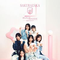 ビルディバイドブライト櫻坂研究会